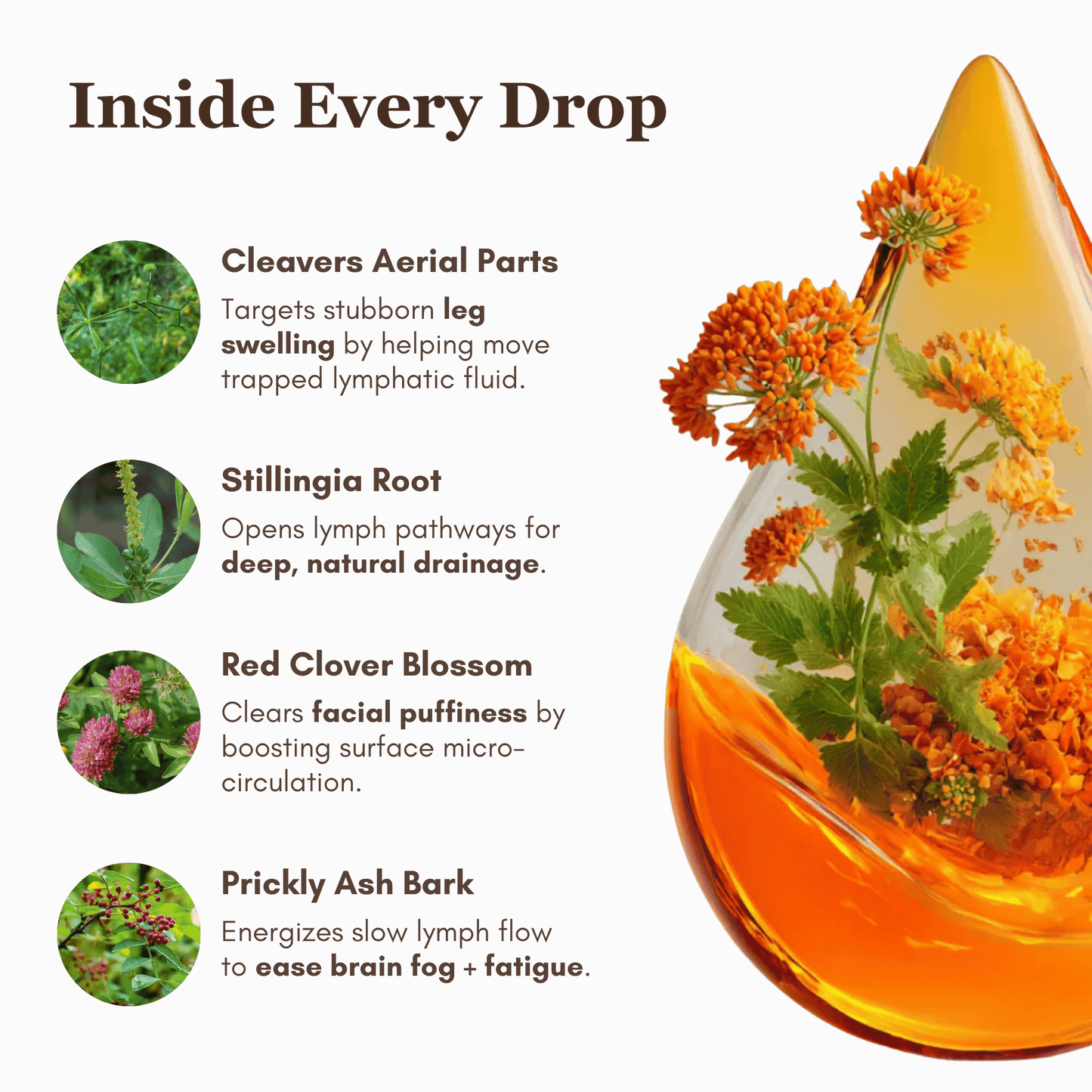 Alurisio Lymphatic Drainage Liquid Herbal Extract