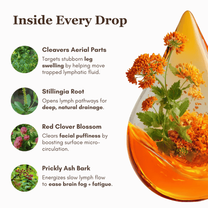 Alurisio Lymphatic Drainage Liquid Herbal Extract