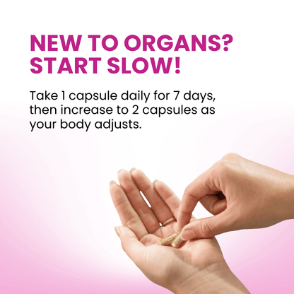 Beef Organ Supplement for Women