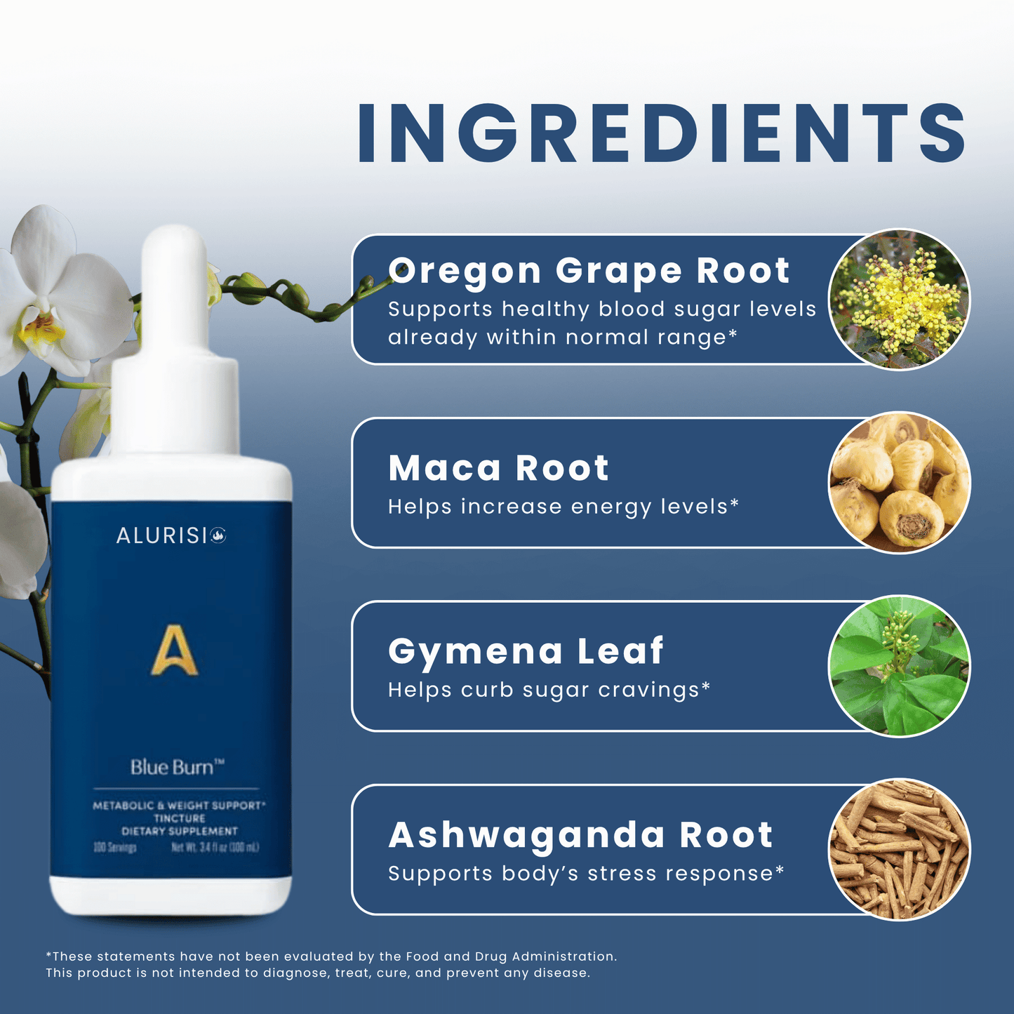 Burn Blue® - Metabolism & Weight Support Herbal Liquid Drops