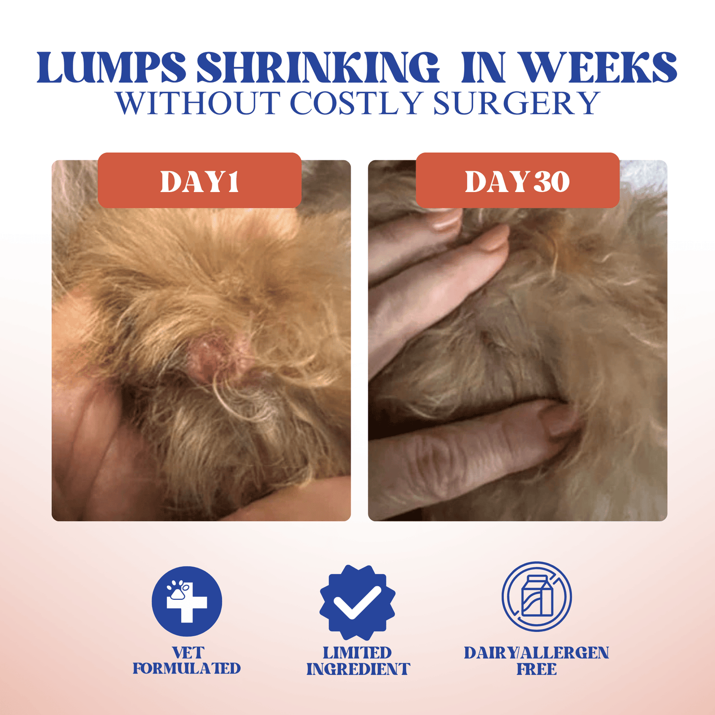 Turkey Tail Mushroom + Probiotic Daily Dog Food Topper
