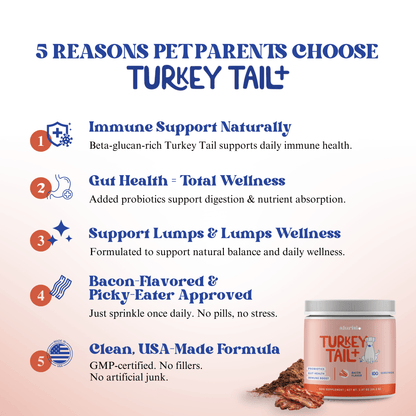Turkey Tail Mushroom + Probiotic Daily Dog Food Topper
