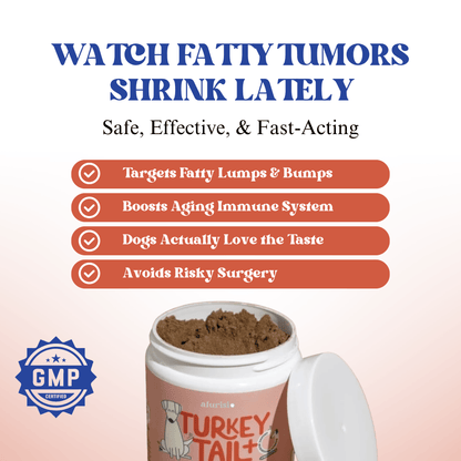Turkey Tail Mushroom + Probiotic Daily Dog Food Topper