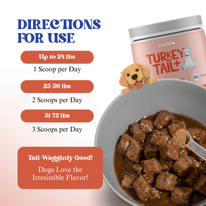 Turkey Tail Mushroom + Probiotic Daily Dog Food Topper