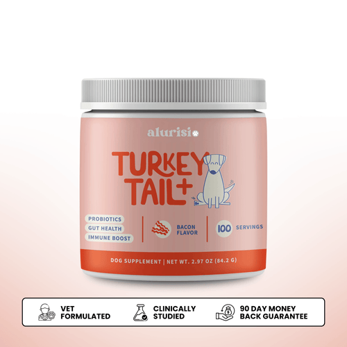 Turkey Tail Mushroom + Probiotic Daily Dog Food Topper