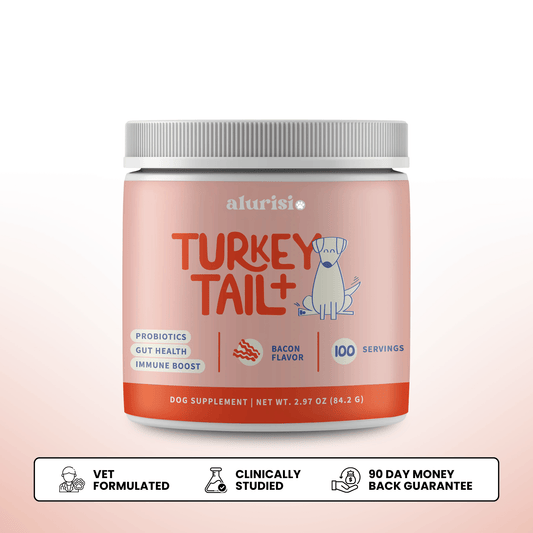 Turkey Tail Mushroom + Probiotic Daily Dog Food Topper